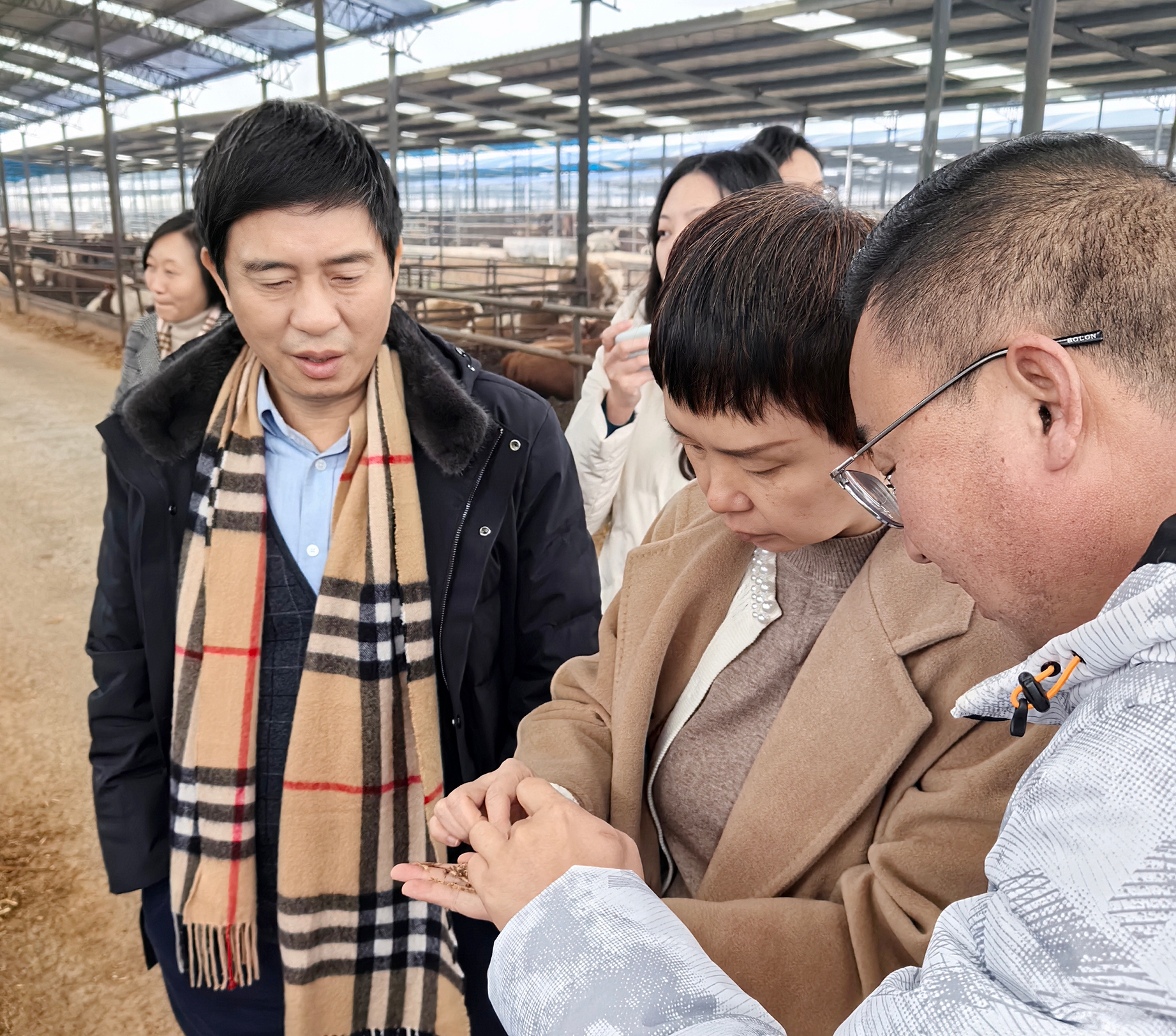 &#27431;&#27954;&#26479;&#19979;&#27880;&#40;&#20013;&#22269;&#41;&#23448;&#26041;&#32593;&#31449;